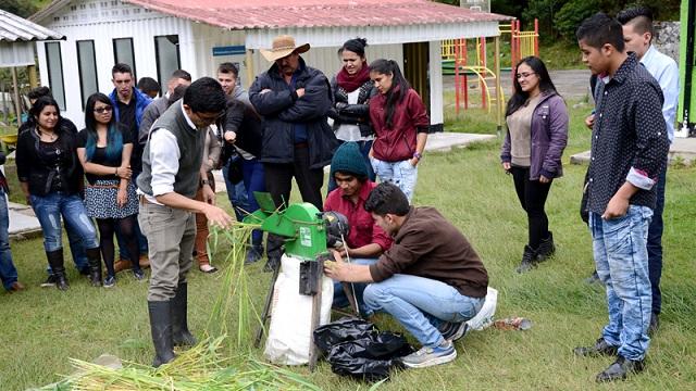 Comunidades rurales universitarias: desempeño en memoria operativa e inteligencia fluida.